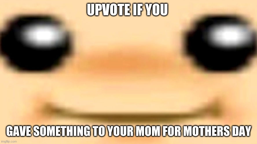 mothers day upvotes! | UPVOTE IF YOU; GAVE SOMETHING TO YOUR MOM FOR MOTHERS DAY | image tagged in toad,memes,upvote begging | made w/ Imgflip meme maker