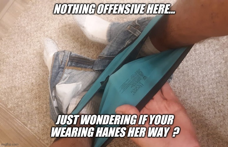 Well... are you ? | NOTHING OFFENSIVE HERE... JUST WONDERING IF YOUR WEARING HANES HER WAY  ? | image tagged in hanes her way,cute,walmart,panties,jeffrey,comment wanted | made w/ Imgflip meme maker
