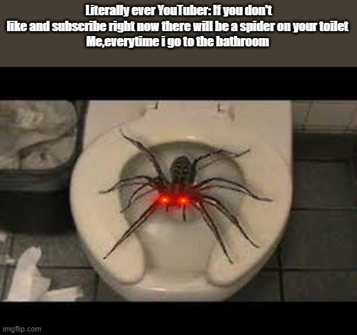 spider | Literally ever YouTuber: If you don't like and subscribe right now there will be a spider on your toilet
Me,everytime i go to the bathroom | image tagged in spider toilet | made w/ Imgflip meme maker