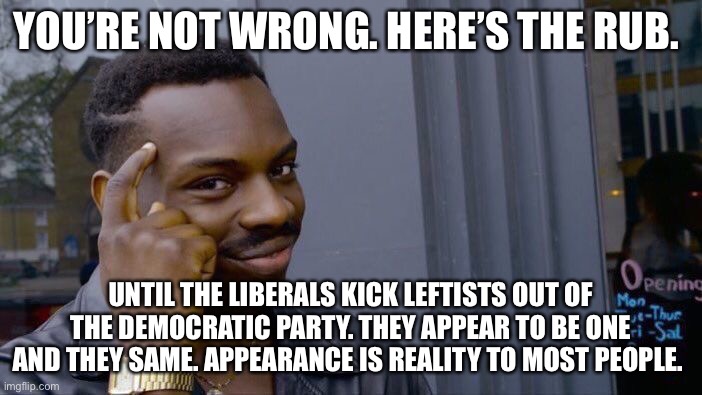 Roll Safe Think About It Meme | YOU’RE NOT WRONG. HERE’S THE RUB. UNTIL THE LIBERALS KICK LEFTISTS OUT OF THE DEMOCRATIC PARTY. THEY APPEAR TO BE ONE AND THEY SAME. APPEARA | image tagged in memes,roll safe think about it | made w/ Imgflip meme maker