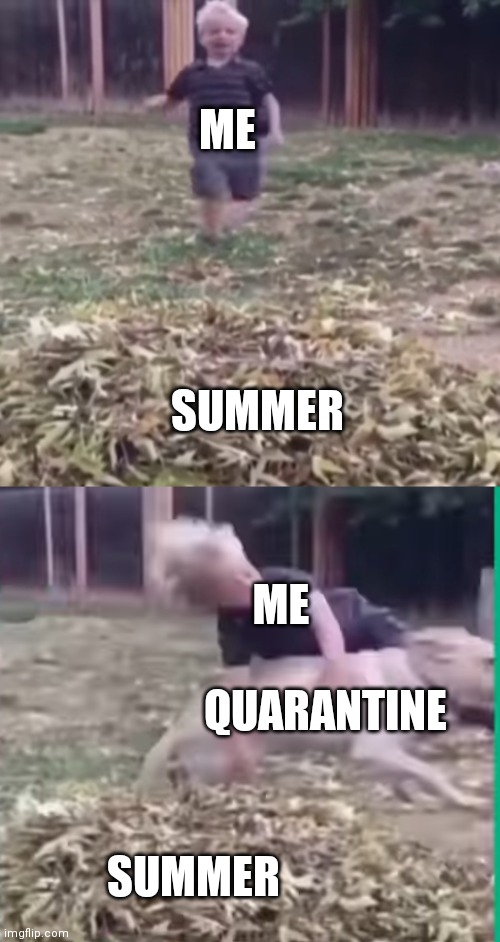 Quarantine sucks | ME; SUMMER; ME; QUARANTINE; SUMMER | image tagged in funny memes,memes | made w/ Imgflip meme maker