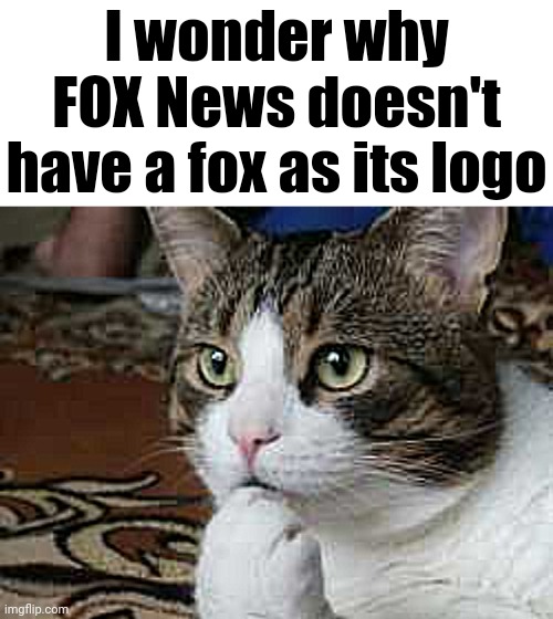 Just curious | I wonder why FOX News doesn't have a fox as its logo | image tagged in ponder cat,fox news,logo | made w/ Imgflip meme maker