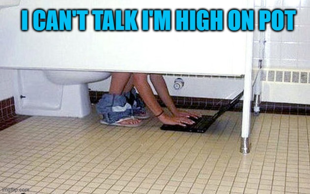 bathroom laptop | I CAN'T TALK I'M HIGH ON POT | image tagged in bathroom laptop,memes,funny,lmao,funny memes | made w/ Imgflip meme maker