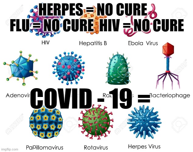 HERPES = NO CURE    FLU = NO CURE  HIV = NO CURE; COVID - 19 = | made w/ Imgflip meme maker