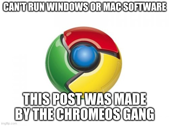 chrome be like | CAN'T RUN WINDOWS OR MAC SOFTWARE; THIS POST WAS MADE BY THE CHROMEOS GANG | image tagged in memes,google chrome | made w/ Imgflip meme maker
