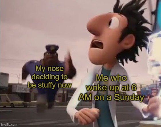 Officer Earl Running | Me who woke up at 6 AM on a Sunday; My nose deciding to be stuffy now | image tagged in officer earl running,cloudy with a chance of meatballs | made w/ Imgflip meme maker