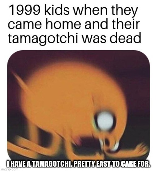 technically a repost? | I HAVE A TAMAGOTCHI. PRETTY EASY TO CARE FOR. | image tagged in noooo jake | made w/ Imgflip meme maker