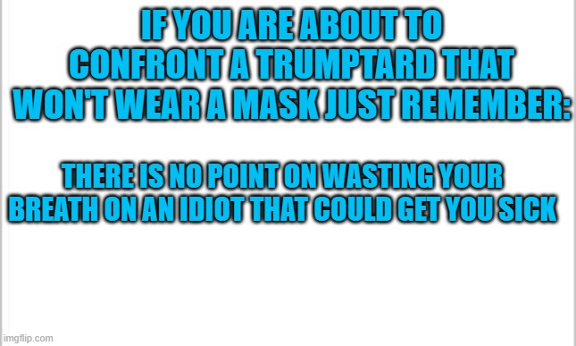 white background | IF YOU ARE ABOUT TO CONFRONT A TRUMPTARD THAT WON'T WEAR A MASK JUST REMEMBER:; THERE IS NO POINT ON WASTING YOUR BREATH ON AN IDIOT THAT COULD GET YOU SICK | image tagged in white background | made w/ Imgflip meme maker