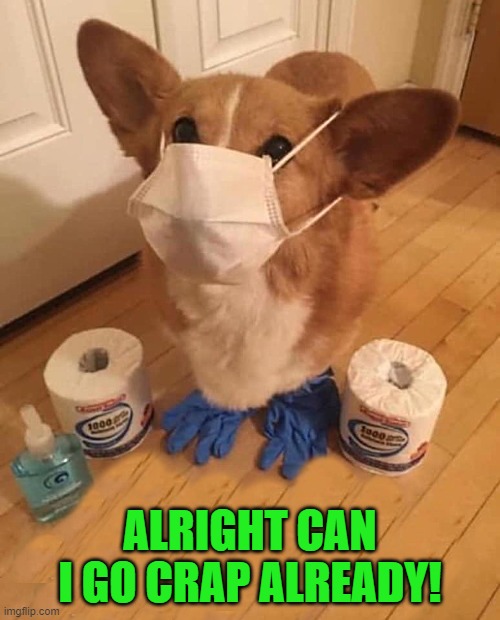 you can never be too careful |  ALRIGHT CAN I GO CRAP ALREADY! | image tagged in crap,be careful | made w/ Imgflip meme maker