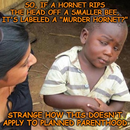 Third World Skeptical Kid Meme | SO, IF A HORNET RIPS THE HEAD OFF A SMALLER BEE, IT'S LABELED A "MURDER HORNET?"; STRANGE HOW THIS DOESN'T APPLY TO PLANNED PARENTHOOD | image tagged in memes,third world skeptical kid,politics,planned parenthood,murder hornets | made w/ Imgflip meme maker