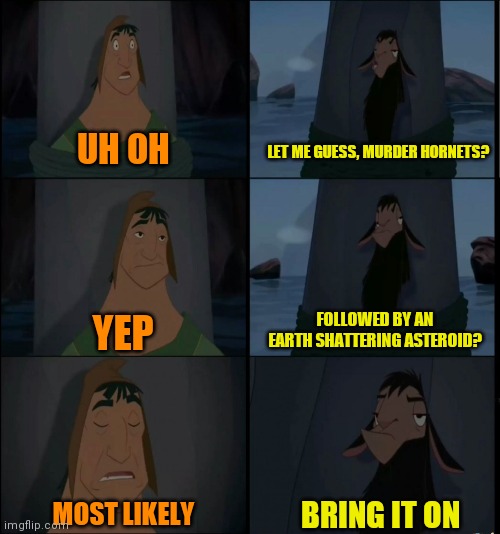 Bring it on Kuzco | LET ME GUESS, MURDER HORNETS? UH OH; FOLLOWED BY AN EARTH SHATTERING ASTEROID? YEP; BRING IT ON; MOST LIKELY | image tagged in bring it on kuzco,memes | made w/ Imgflip meme maker