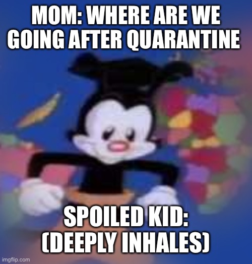 YAKKO | MOM: WHERE ARE WE GOING AFTER QUARANTINE; SPOILED KID: (DEEPLY INHALES) | image tagged in yakko | made w/ Imgflip meme maker