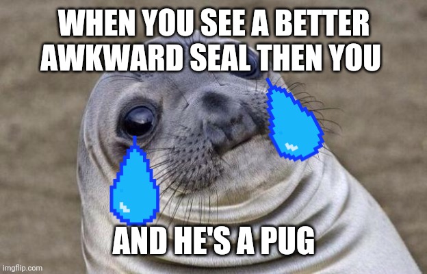 Awkward Moment Sealion | WHEN YOU SEE A BETTER AWKWARD SEAL THEN YOU; AND HE'S A PUG | image tagged in memes,awkward moment sealion | made w/ Imgflip meme maker