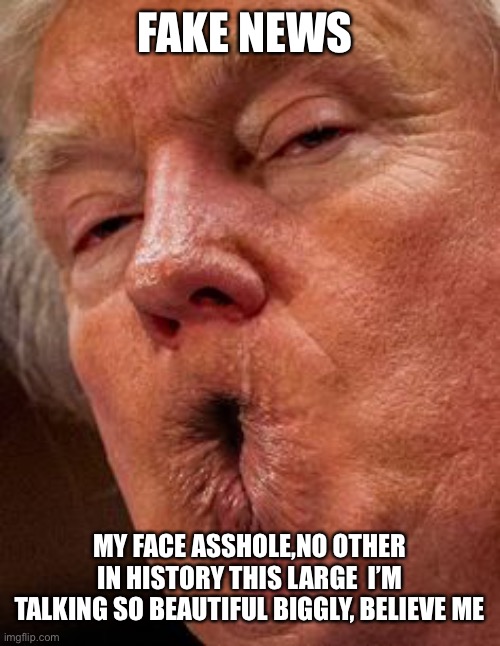 FAKE NEWS MY FACE ASSHOLE,NO OTHER IN HISTORY THIS LARGE  I’M TALKING SO BEAUTIFUL BIGGLY, BELIEVE ME | made w/ Imgflip meme maker