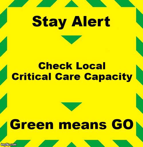 Stay Alert | Stay Alert Check Local Critical Care Capacity Green means GO | image tagged in stay alert | made w/ Imgflip meme maker