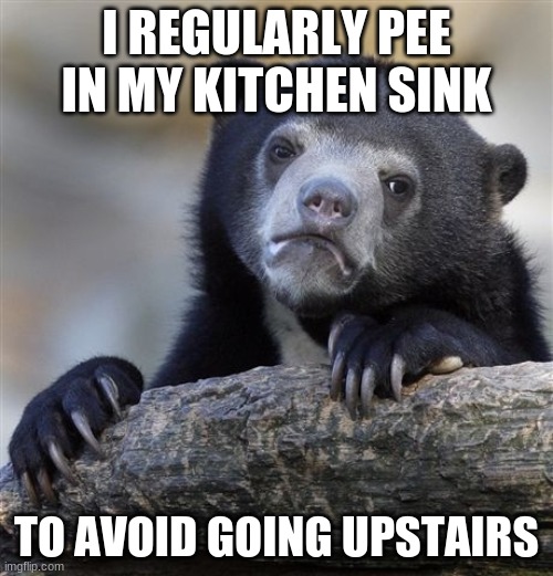 Confession Bear Meme |  I REGULARLY PEE IN MY KITCHEN SINK; TO AVOID GOING UPSTAIRS | image tagged in memes,confession bear,pee | made w/ Imgflip meme maker