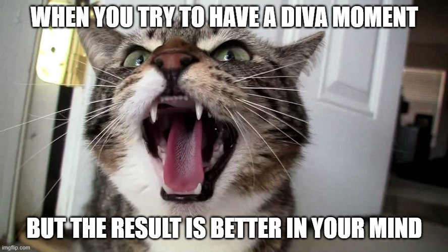 angry cat | WHEN YOU TRY TO HAVE A DIVA MOMENT; BUT THE RESULT IS BETTER IN YOUR MIND | image tagged in cats | made w/ Imgflip meme maker