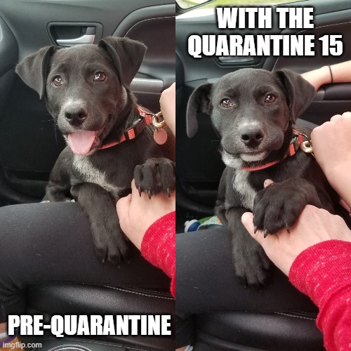 quarantine 15 | WITH THE QUARANTINE 15; PRE-QUARANTINE | image tagged in quarantine | made w/ Imgflip meme maker