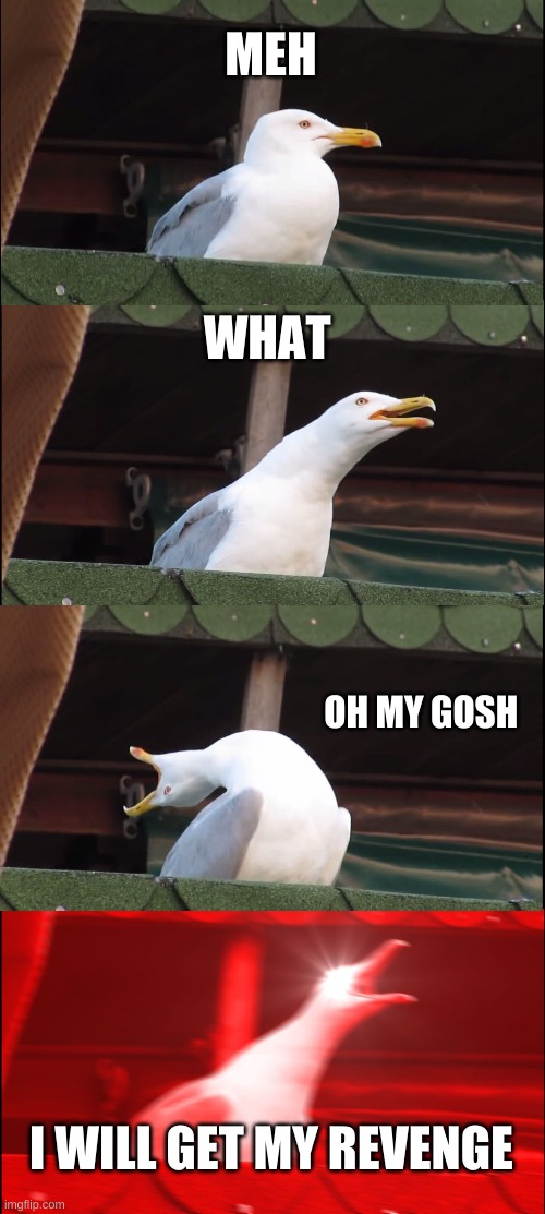 Inhaling Seagull Meme | MEH; WHAT; OH MY GOSH; I WILL GET MY REVENGE | image tagged in memes,inhaling seagull | made w/ Imgflip meme maker