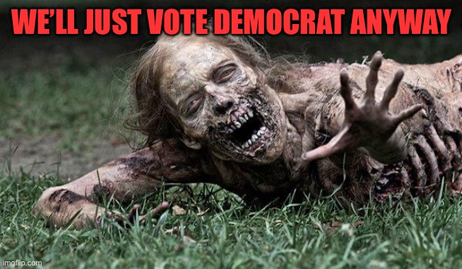 Their plan to “kill all the Leftists” has a fatal flaw. | WE’LL JUST VOTE DEMOCRAT ANYWAY | image tagged in walking dead zombie,conservative logic,violence,election 2020,dead voters,voter fraud | made w/ Imgflip meme maker