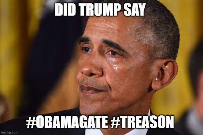 #obamagate | DID TRUMP SAY; #OBAMAGATE #TREASON | image tagged in crying obama | made w/ Imgflip meme maker