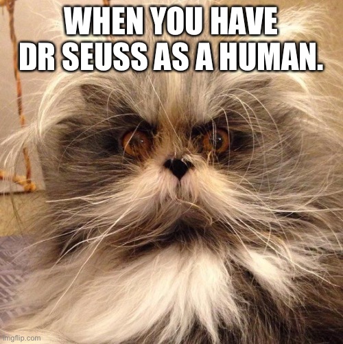 Crazy Cat | WHEN YOU HAVE DR SEUSS AS A HUMAN. | image tagged in crazy cat | made w/ Imgflip meme maker