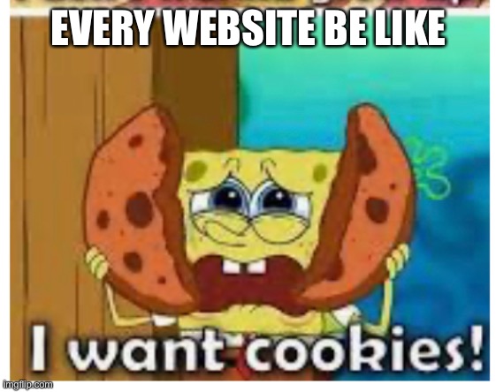 I want cookies | EVERY WEBSITE BE LIKE | image tagged in spongebob | made w/ Imgflip meme maker