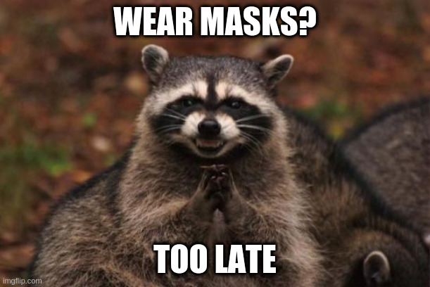 Racoons should work at hospitals | WEAR MASKS? TOO LATE | image tagged in evil racoon | made w/ Imgflip meme maker