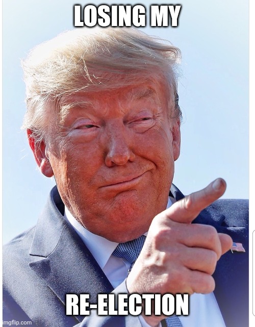 Trump pointing | LOSING MY; RE-ELECTION | image tagged in trump pointing | made w/ Imgflip meme maker