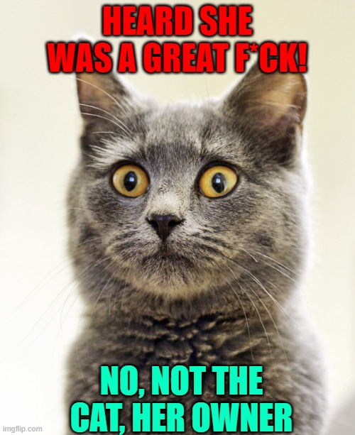HEARD SHE WAS A GREAT F*CK! NO, NOT THE CAT, HER OWNER | made w/ Imgflip meme maker