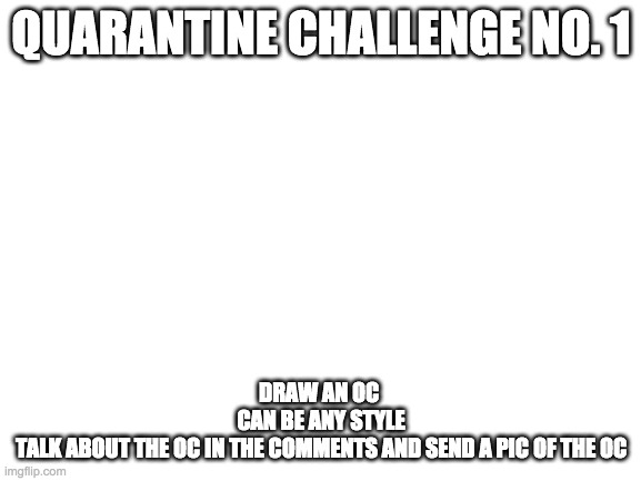 quarantine challenge no. 1 | QUARANTINE CHALLENGE NO. 1; DRAW AN OC 
CAN BE ANY STYLE
TALK ABOUT THE OC IN THE COMMENTS AND SEND A PIC OF THE OC | image tagged in blank white template | made w/ Imgflip meme maker