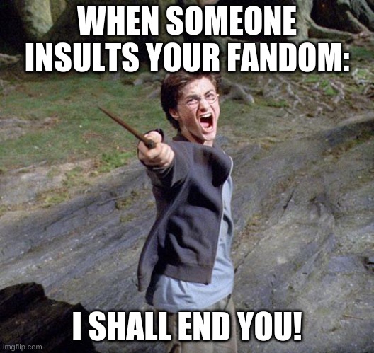 when one insults your fandom | WHEN SOMEONE INSULTS YOUR FANDOM:; I SHALL END YOU! | image tagged in harry potter,memes | made w/ Imgflip meme maker