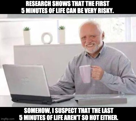 Seems legit! | RESEARCH SHOWS THAT THE FIRST 5 MINUTES OF LIFE CAN BE VERY RISKY. SOMEHOW, I SUSPECT THAT THE LAST 5 MINUTES OF LIFE AREN’T SO HOT EITHER. | image tagged in harold | made w/ Imgflip meme maker