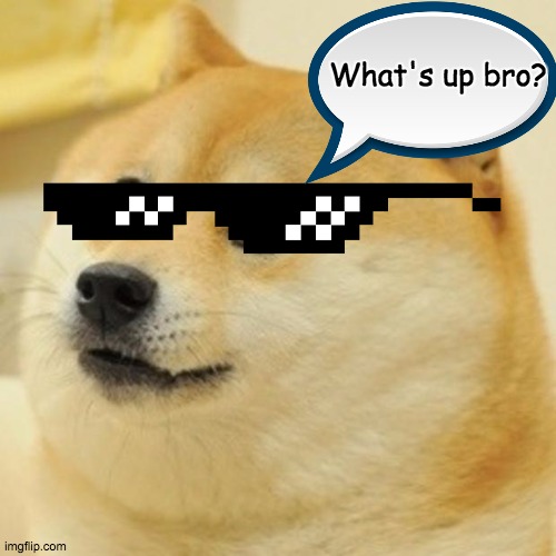 coolest doge in the world | What's up bro? | image tagged in memes,doge,cool | made w/ Imgflip meme maker