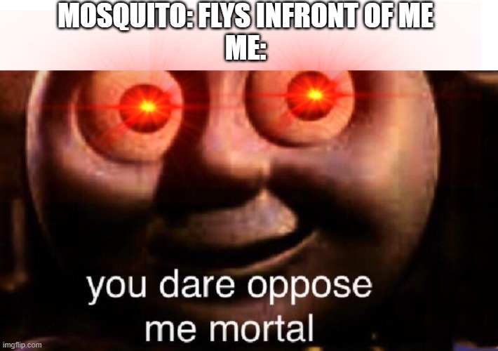 MOSQUITO: FLYS INFRONT OF ME
ME: | image tagged in you dare oppose me mortal | made w/ Imgflip meme maker