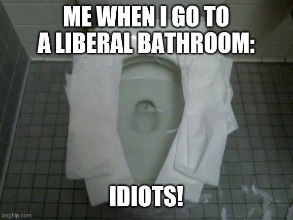 How toilets are used in 2020 | ME WHEN I GO TO A LIBERAL BATHROOM:; IDIOTS! | image tagged in toilet,toilet paper | made w/ Imgflip meme maker