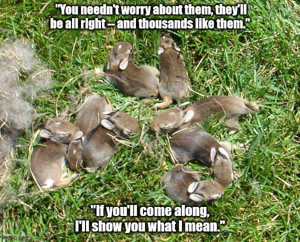El-Ahrairah to Hazel in the end on his leaving his body to join the owsla hereafter | "You needn't worry about them, they'll be all right -- and thousands like them."; "If you'll come along, I'll show you what I mean." | image tagged in animals,rabbits,quotes,movie quotes,literature,bunny | made w/ Imgflip meme maker