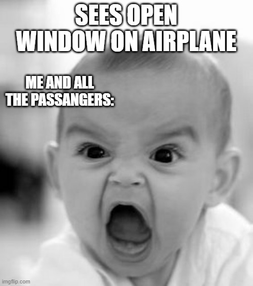 Angry Baby Meme | SEES OPEN WINDOW ON AIRPLANE ME AND ALL THE PASSANGERS: | image tagged in memes,angry baby | made w/ Imgflip meme maker