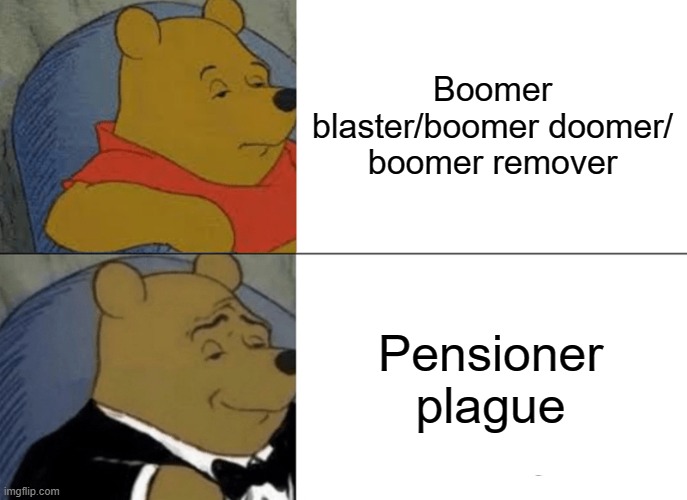 Tuxedo Winnie The Pooh Meme | Boomer blaster/boomer doomer/ boomer remover; Pensioner plague | image tagged in memes,tuxedo winnie the pooh | made w/ Imgflip meme maker