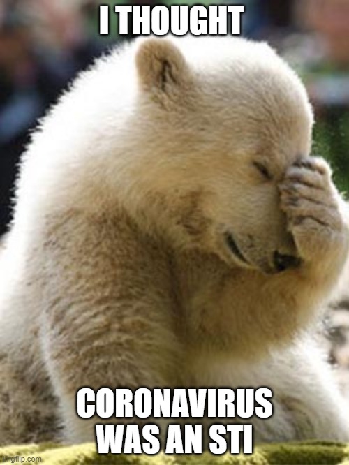 Oh god | I THOUGHT; CORONAVIRUS WAS AN STI | image tagged in memes,facepalm bear | made w/ Imgflip meme maker
