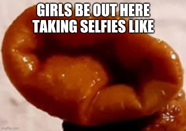 Anus Lips | GIRLS BE OUT HERE TAKING SELFIES LIKE | image tagged in anus lips,black girl wat,selfies | made w/ Imgflip meme maker