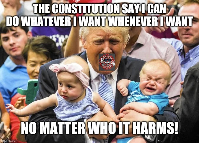 THE CONSTITUTION SAY I CAN DO WHATEVER I WANT WHENEVER I WANT; NO MATTER WHO IT HARMS! | made w/ Imgflip meme maker