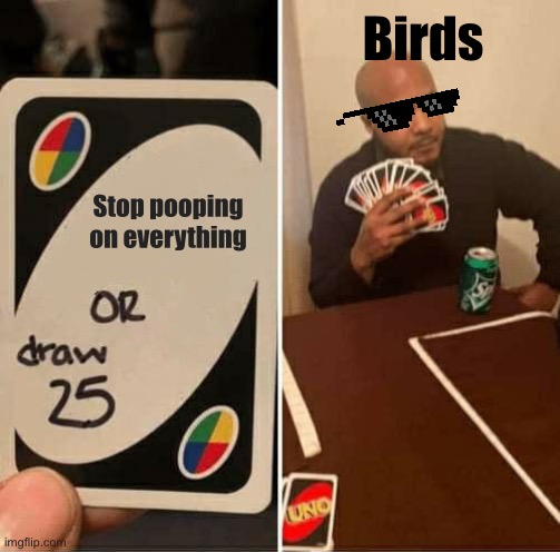 Why They Gotta Be So Crappy? |  Birds; Stop pooping on everything | image tagged in memes,uno draw 25 cards,birds | made w/ Imgflip meme maker