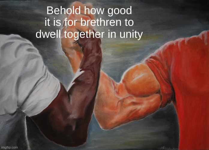 If we fall, we'll fall together. But when we rise we will rise together | Behold how good it is for brethren to dwell together in unity | image tagged in memes,epic handshake | made w/ Imgflip meme maker