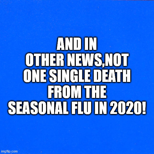 Seasonal Flu 2020 | AND IN OTHER NEWS,NOT ONE SINGLE DEATH FROM THE SEASONAL FLU IN 2020! | image tagged in seasonal flu,the flu | made w/ Imgflip meme maker