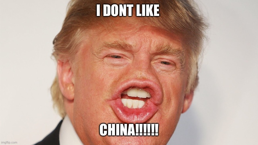 Donald Trump China | I DONT LIKE; CHINA!!!!!! | image tagged in donald trump china | made w/ Imgflip meme maker
