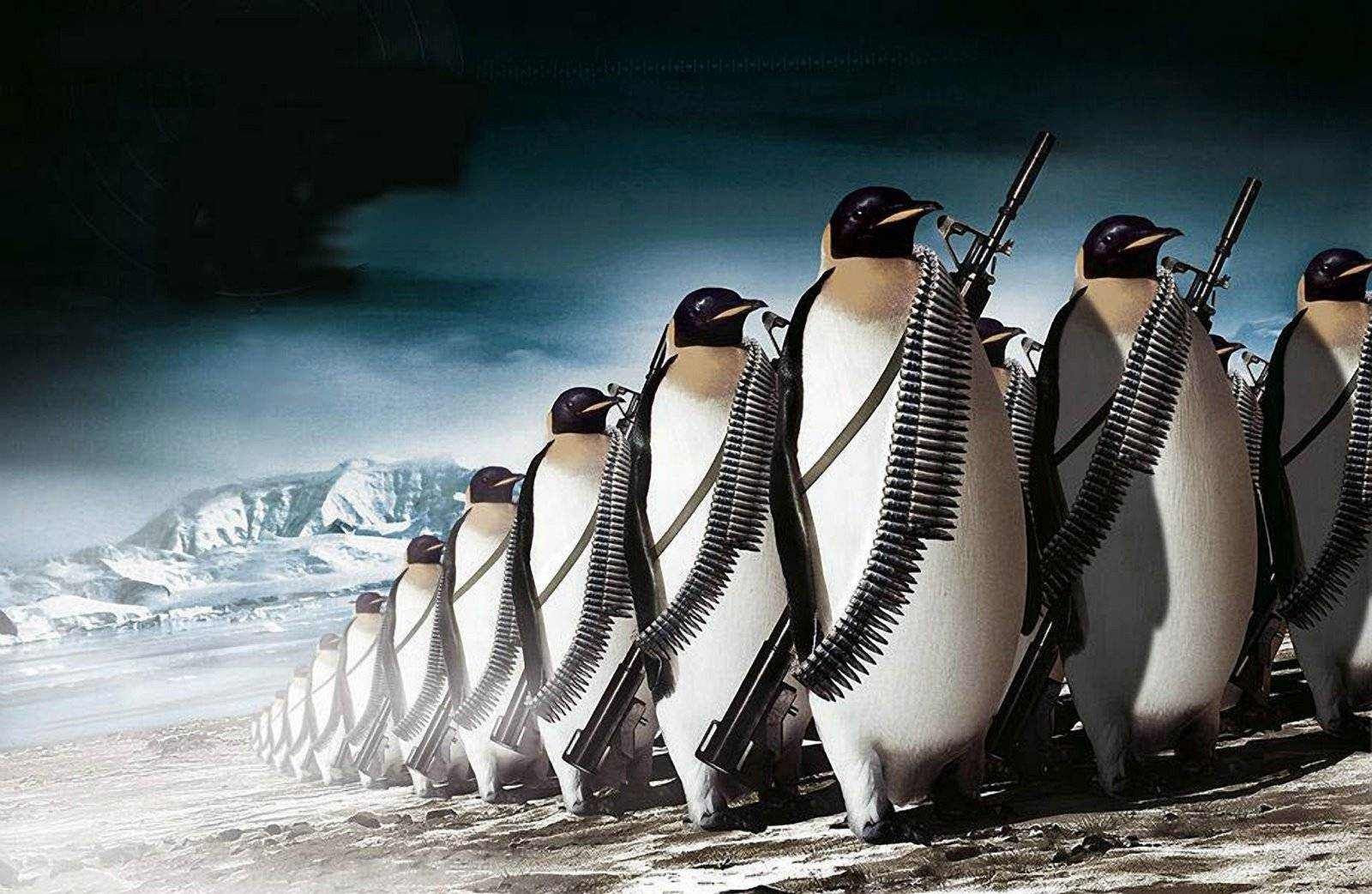 High Quality Penguin army plain Blank Meme Template