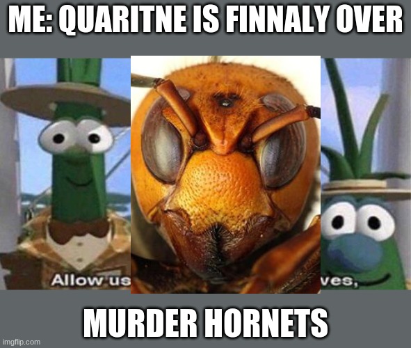 heres something to make you laugh | ME: QUARITNE IS FINNALY OVER; MURDER HORNETS | image tagged in veggietales 'allow us to introduce ourselfs' | made w/ Imgflip meme maker