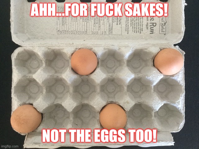 Not The Eggs Too! | AHH...FOR FUCK SAKES! NOT THE EGGS TOO! | image tagged in covid-19,physical distancing,social distancing | made w/ Imgflip meme maker