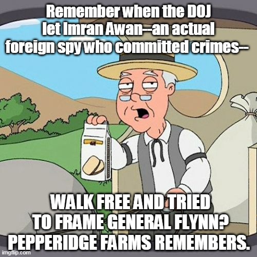 Pepperidge Farm Remembers Meme | Remember when the DOJ let Imran Awan--an actual foreign spy who committed crimes--; WALK FREE AND TRIED TO FRAME GENERAL FLYNN? PEPPERIDGE FARMS REMEMBERS. | image tagged in general flynn,mike flynn,doj,imran awan,donald trump,msm | made w/ Imgflip meme maker